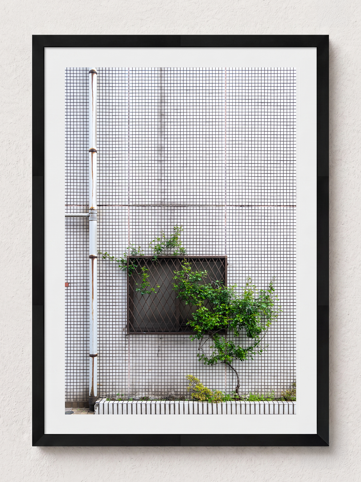 Tokyo Aspirations