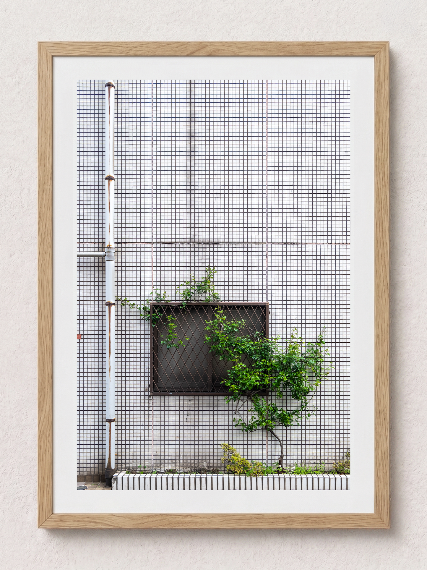 Tokyo Aspirations