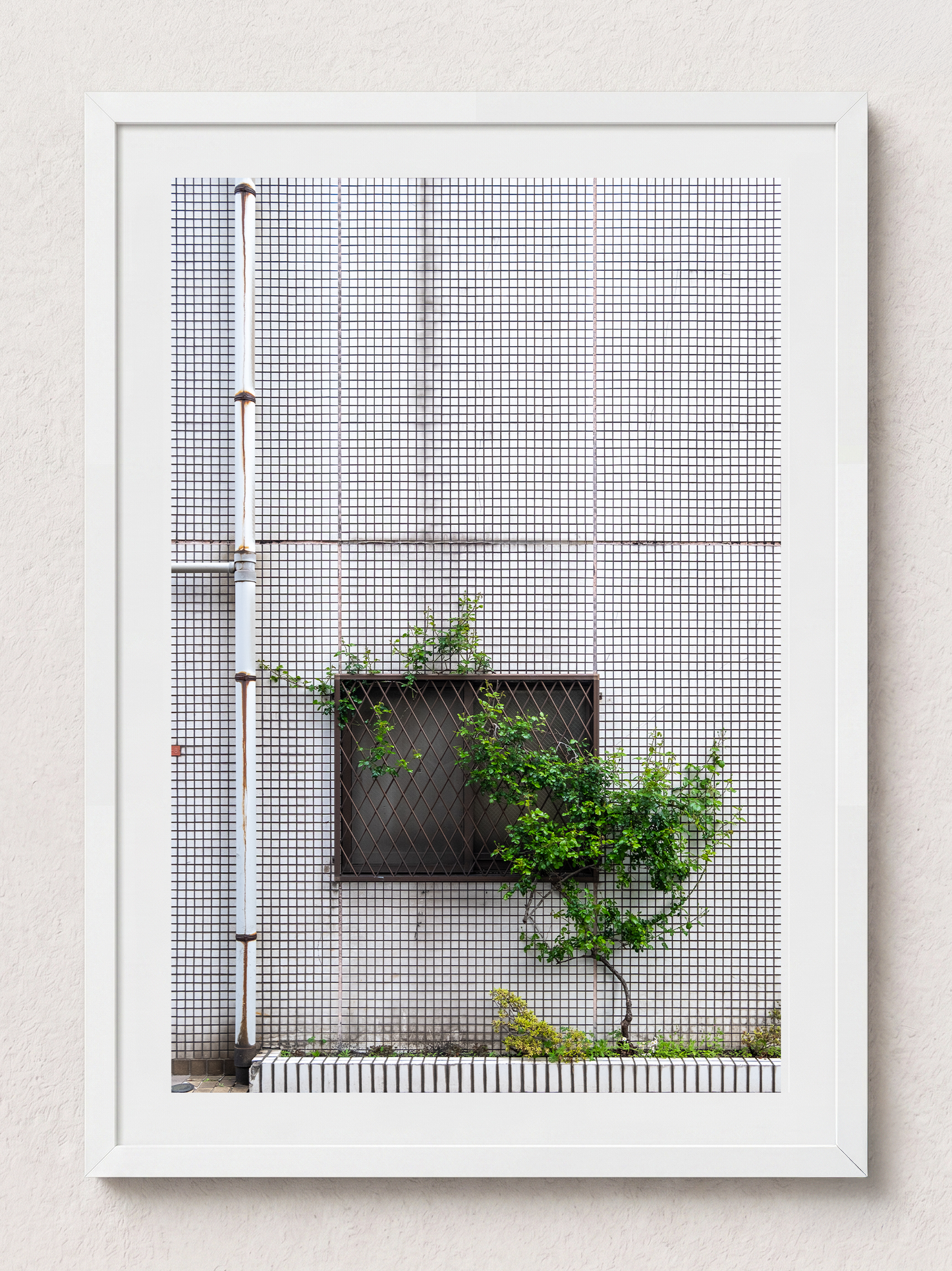 Tokyo Aspirations