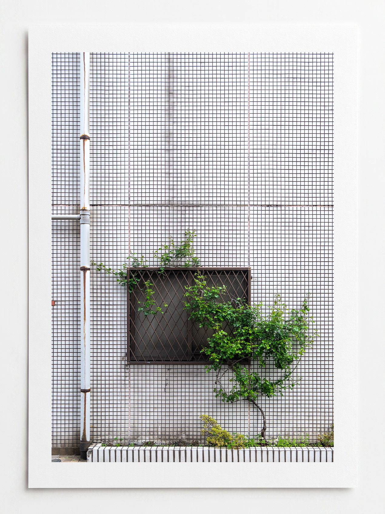 Tokyo Aspirations